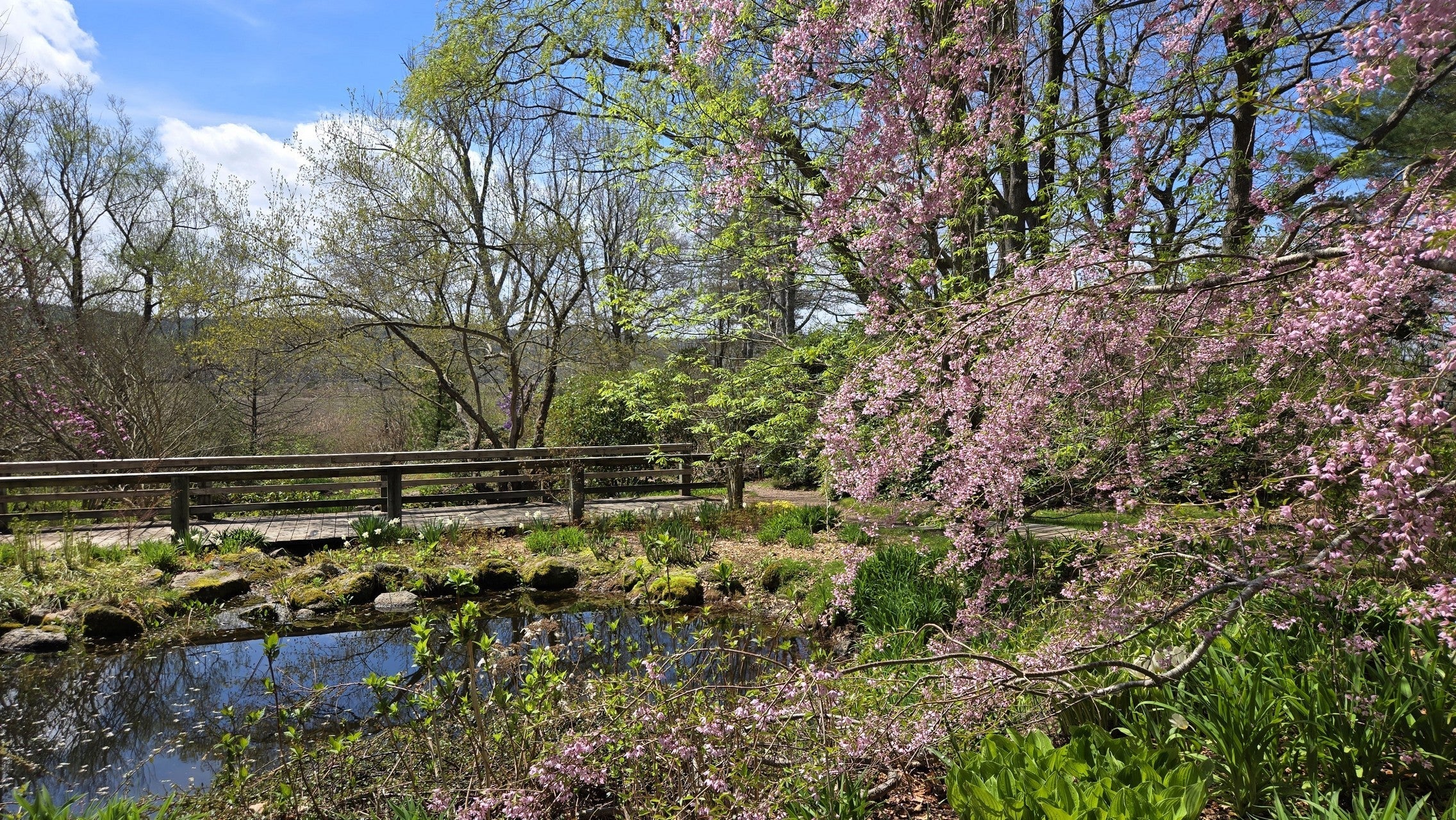 Bloom Report - May 9, 2025