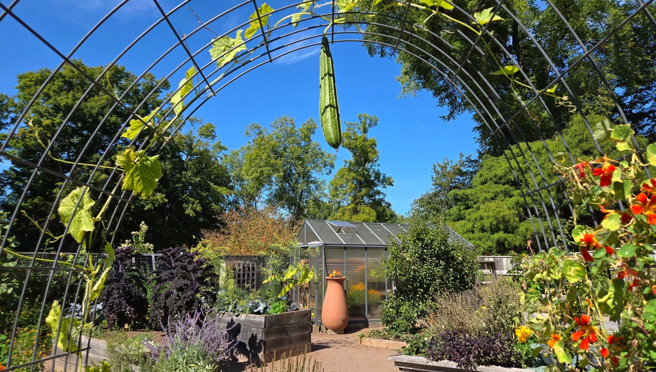 Bloom Report - September 14, 2025