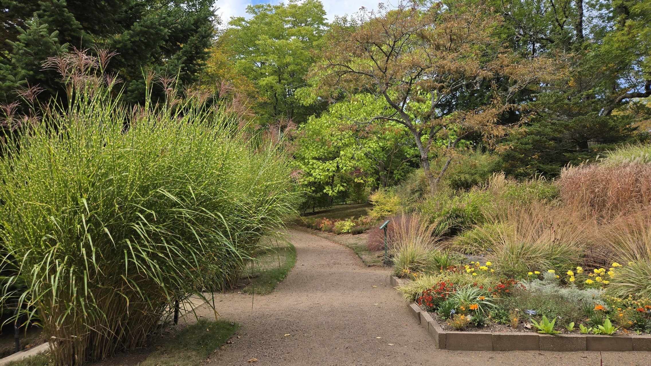 Bloom Report - October 4, 2025