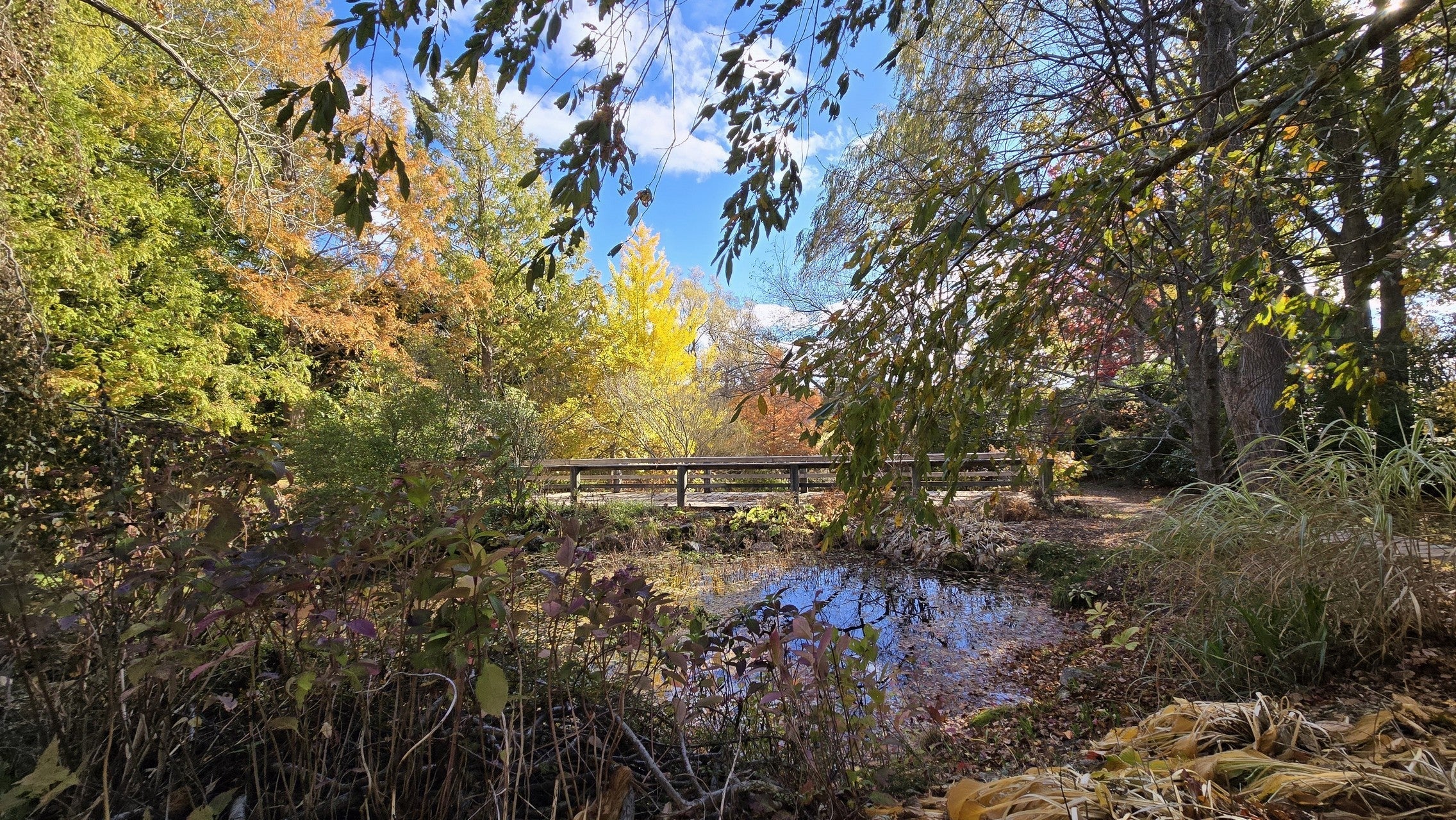 Bloom Report - November 7, 2025