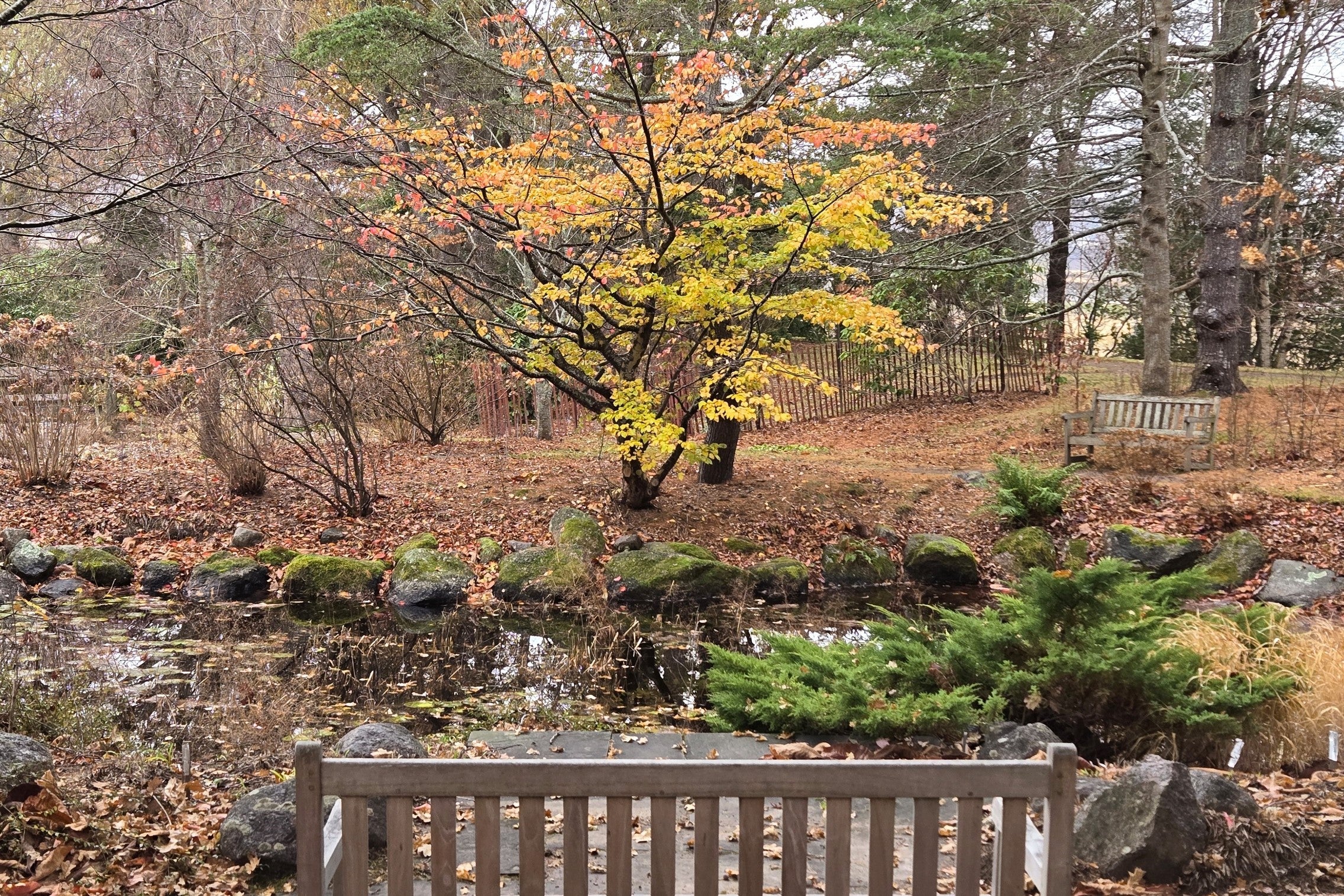 Bloom Report - November 28, 2025