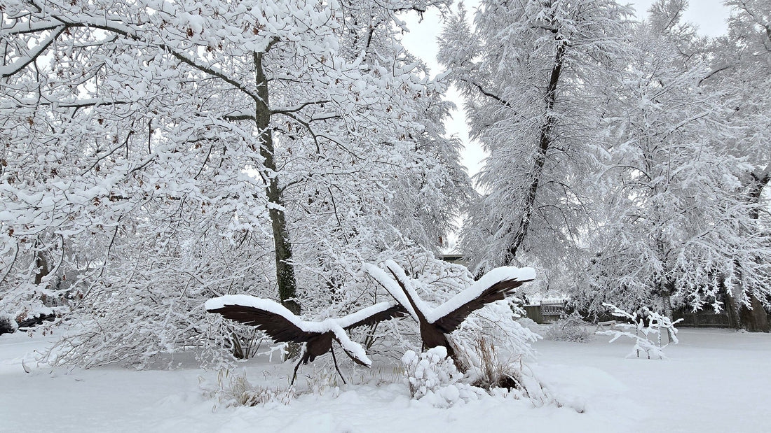 Bloom Report - January 31, 2026