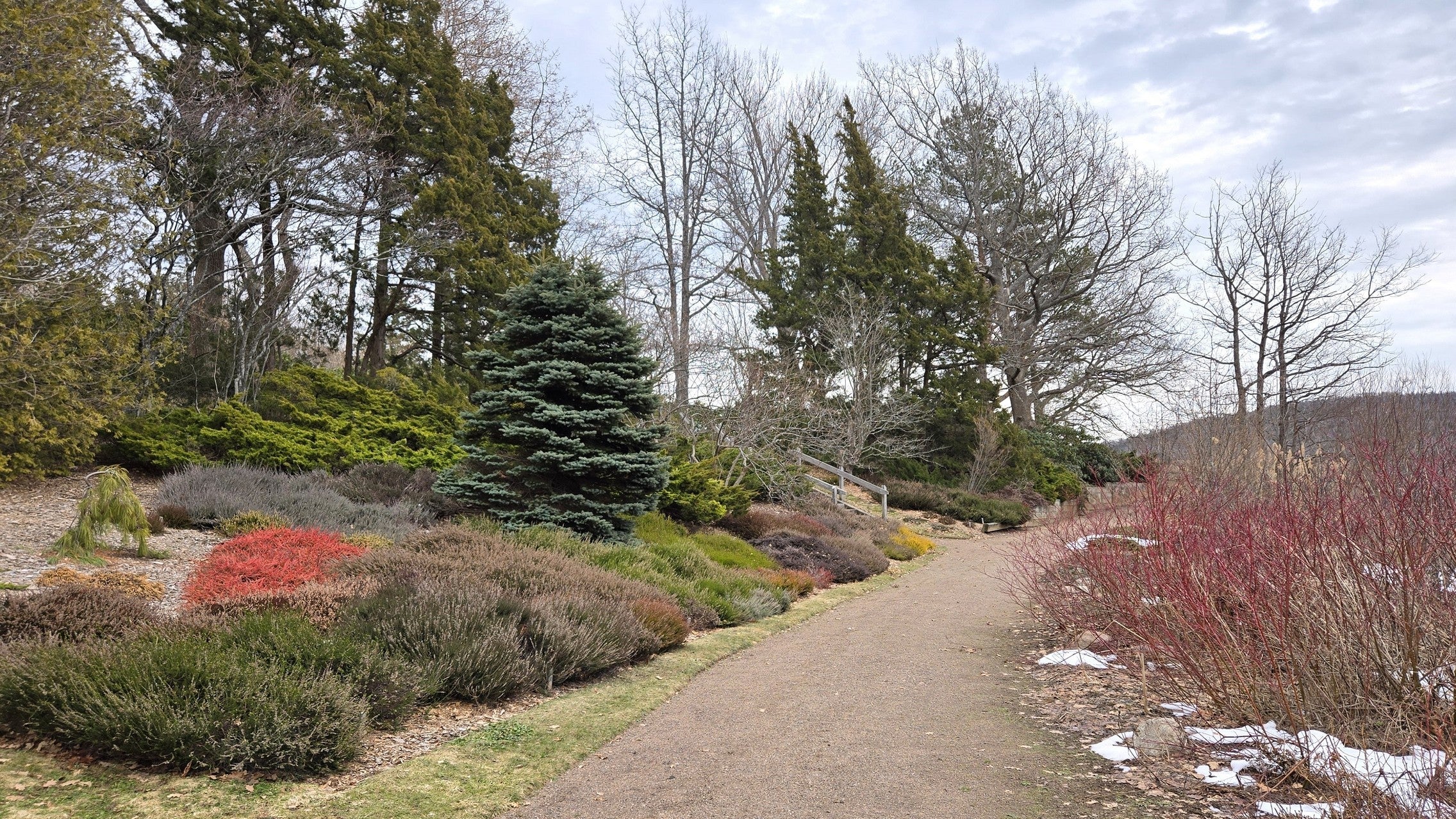 Bloom Report - March 20, 2026