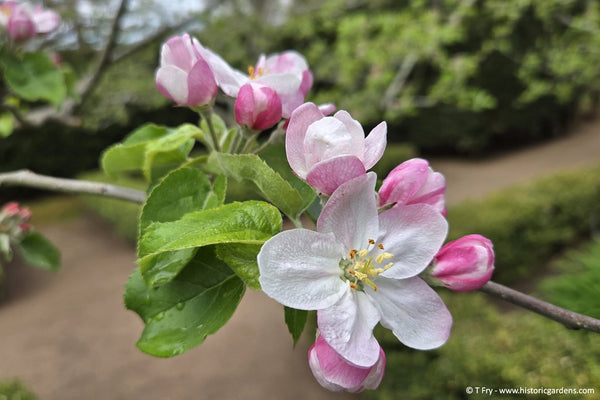 Bloom Report - May 22, 2026
