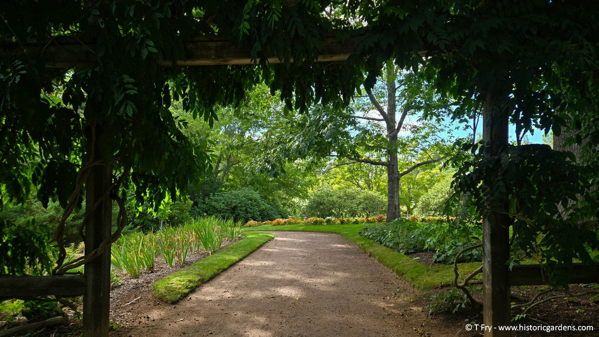 Bloom Report - August 30 2026