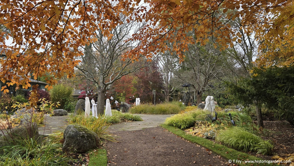 Bloom Report - October 24 2026