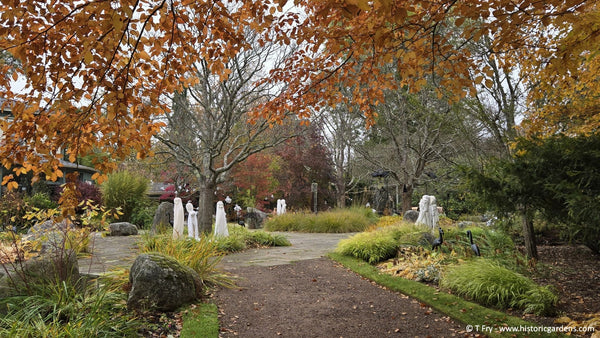 Bloom Report - October 24 2026