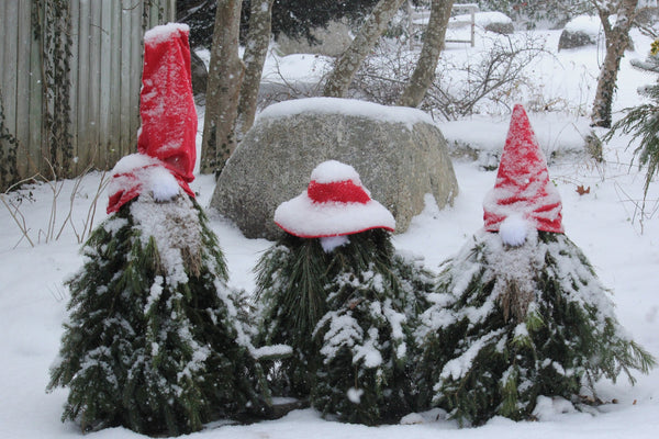 Bloom Report - December 24, 2026