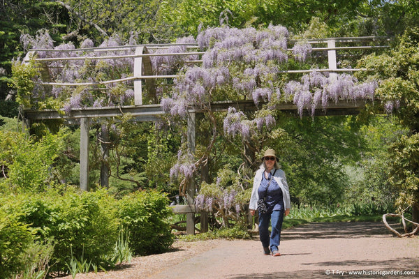 Bloom Report - June 5, 2026