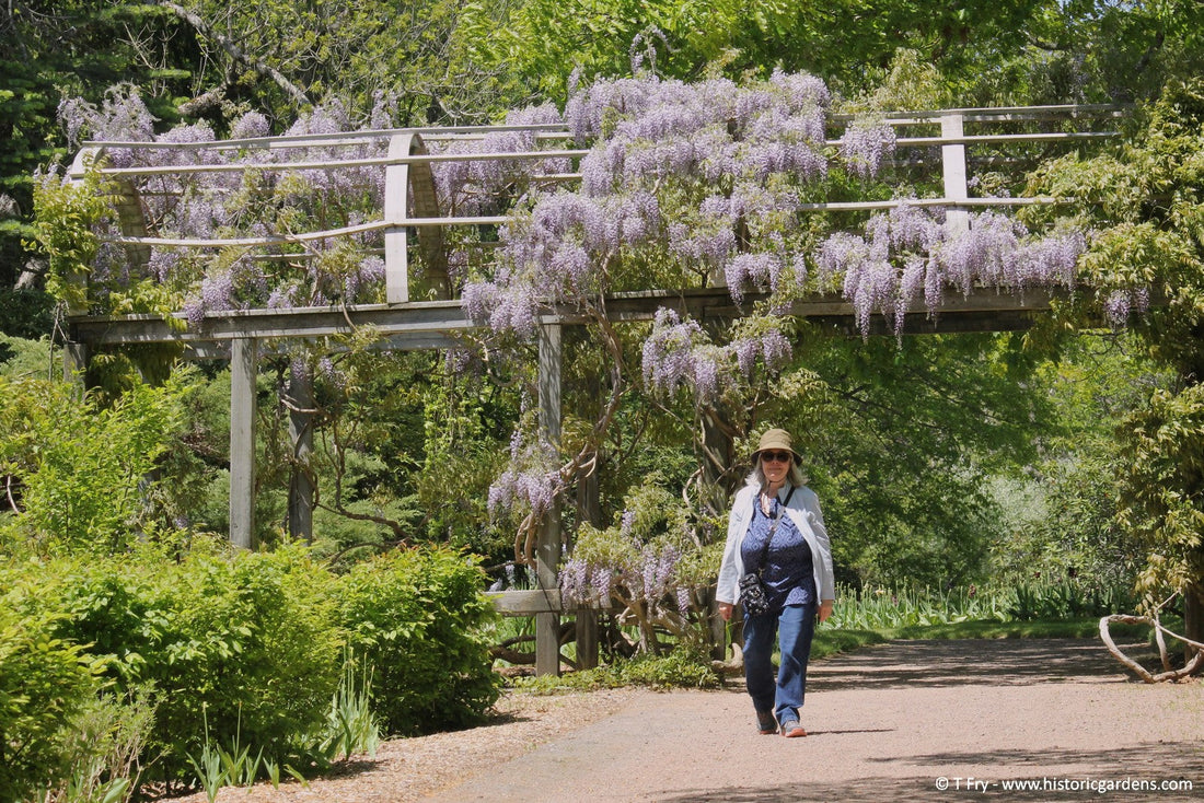 Bloom Report - June 5, 2026
