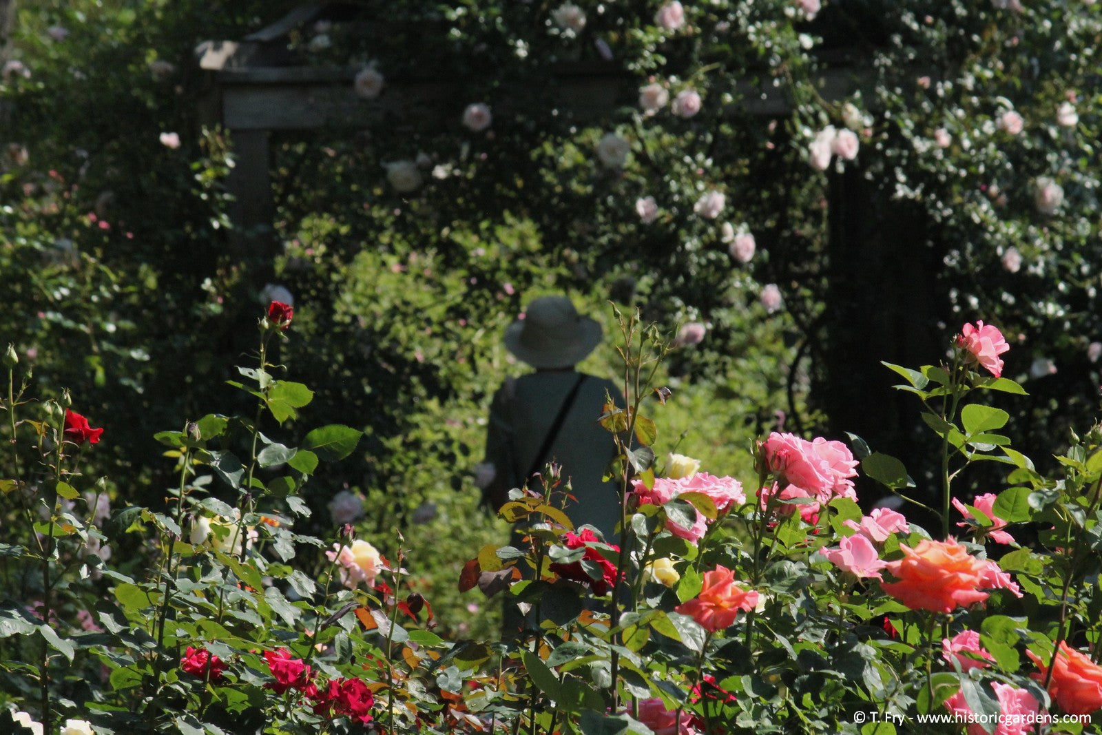 Bloom Report - July 5