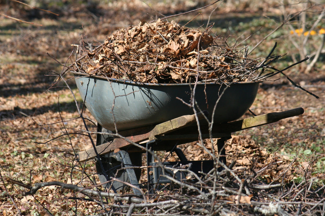 Spring Cleanup - Volunteers Welcome!