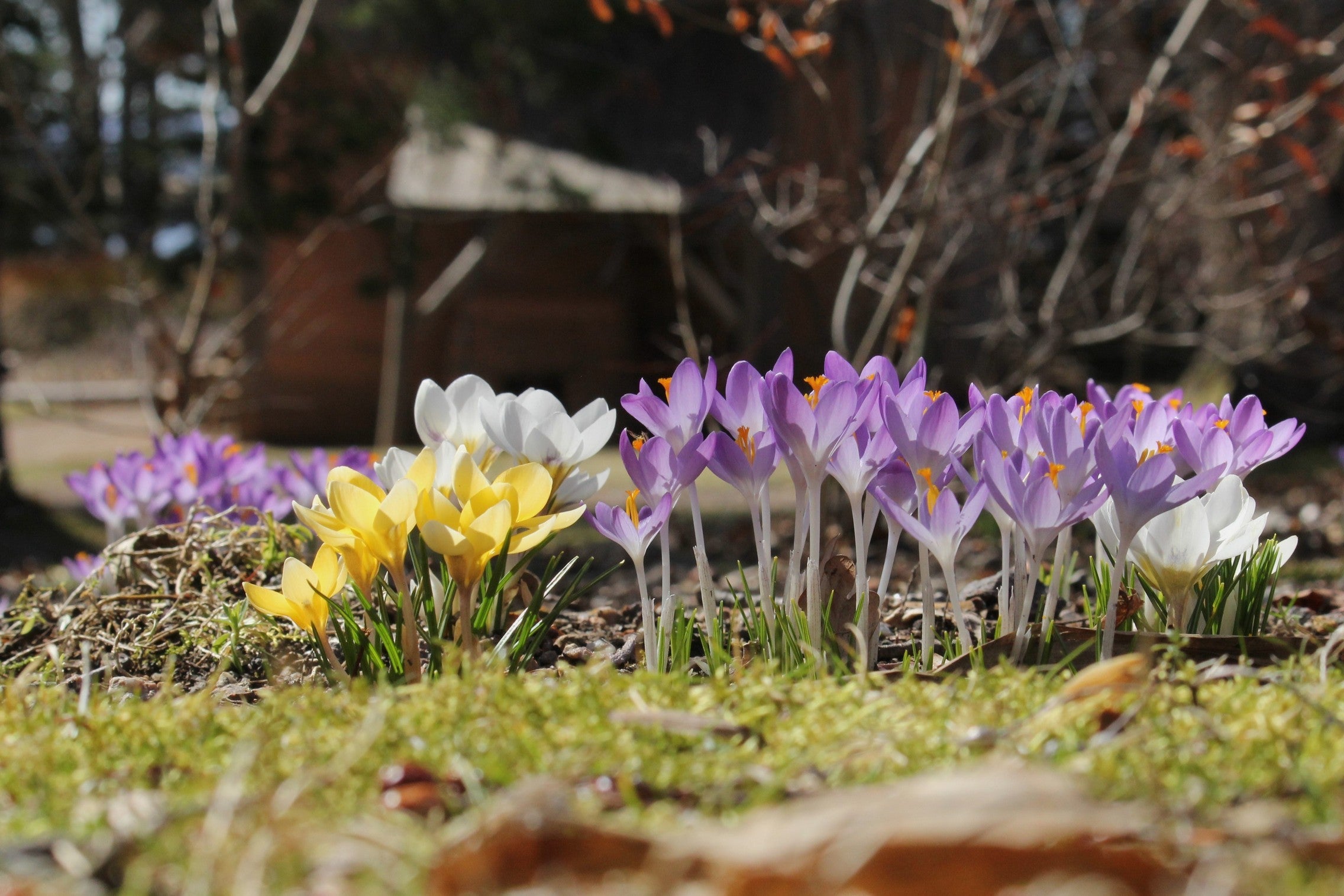 Bloom Report - April 4, 2025