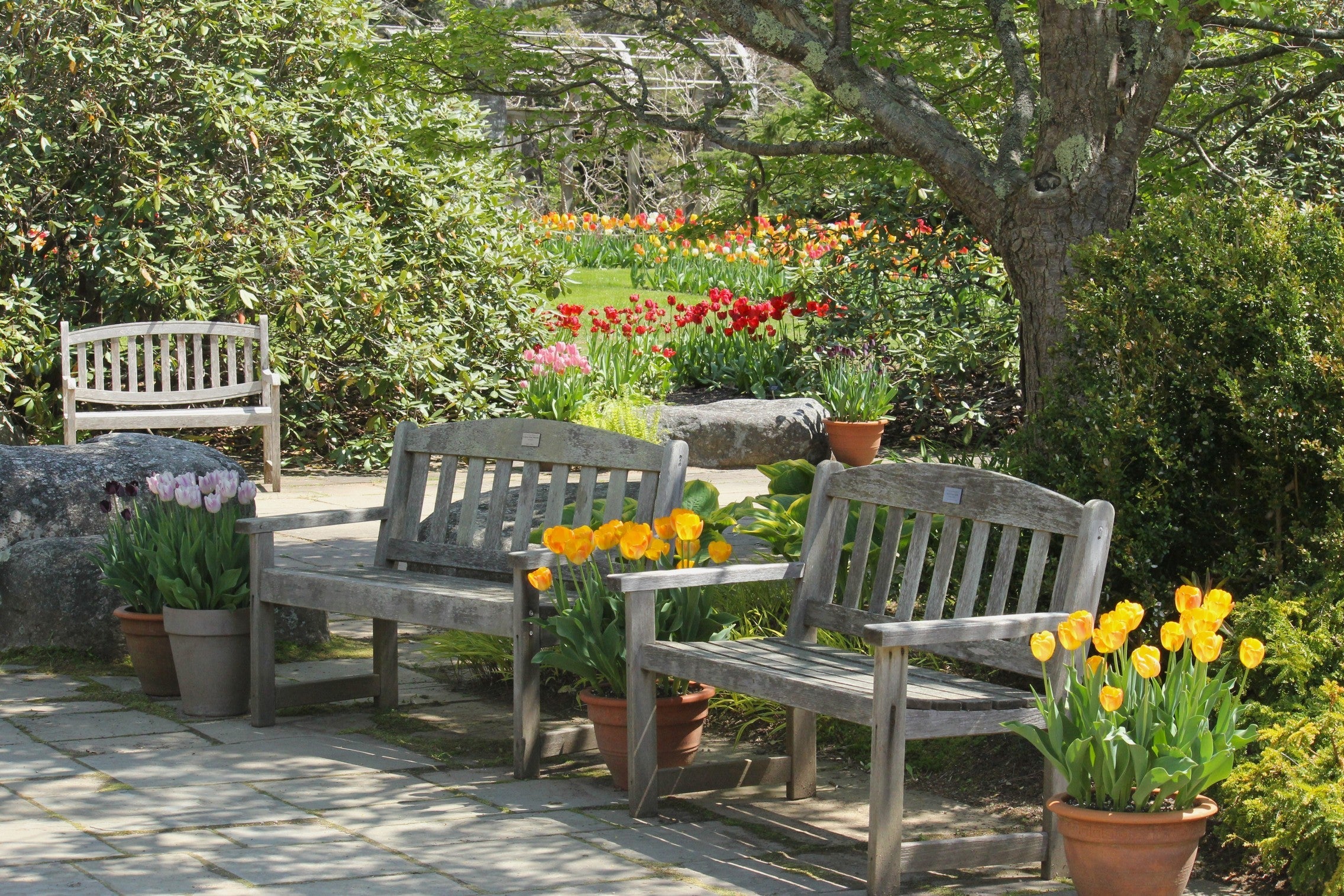 Bloom Report - May 16, 2025