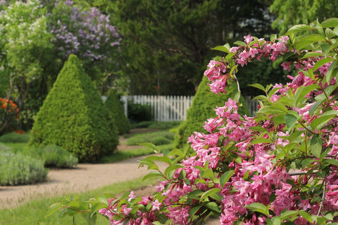 Bloom Report - June 6, 2025