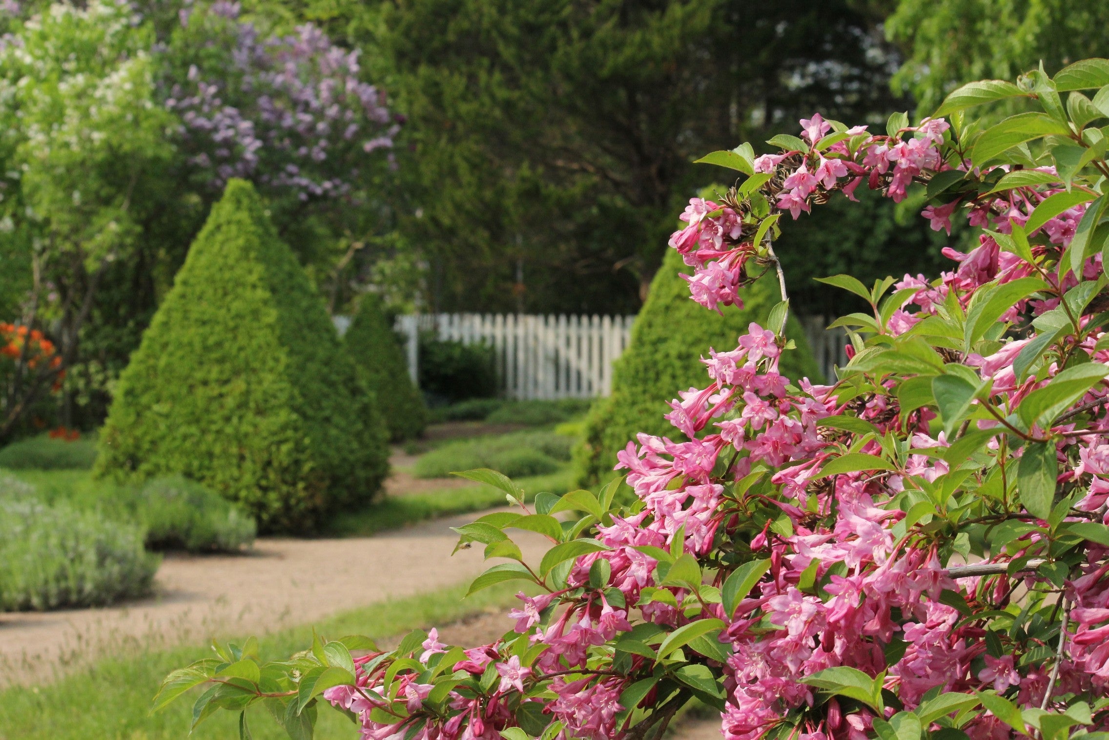 Bloom Report - June 6, 2025