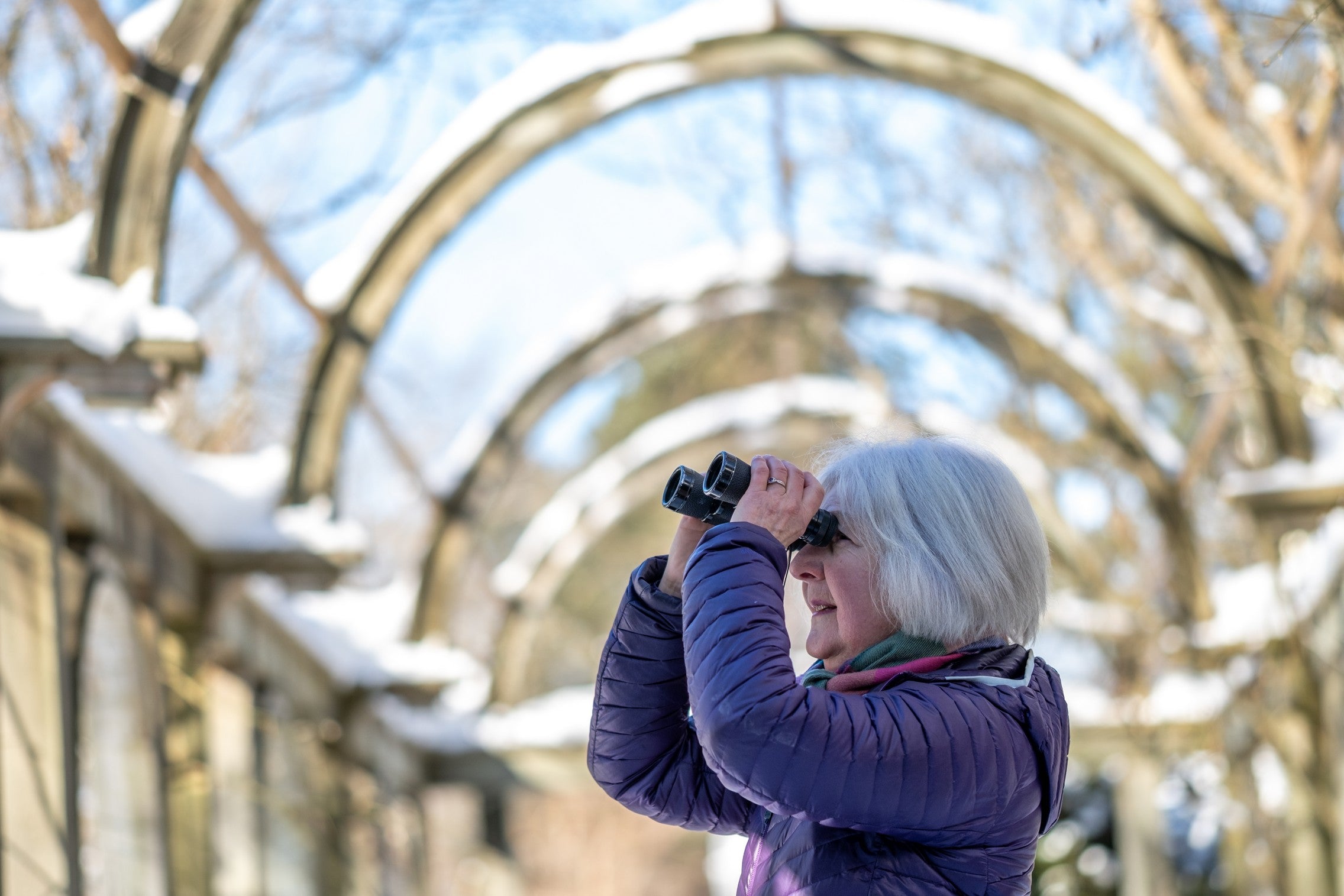 Birding in the Gardens