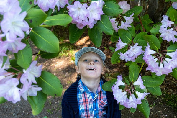 Bloom Report - June 21 2026