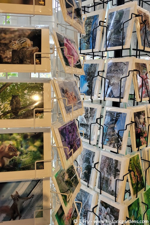 Photo Cards - Town and Gardens