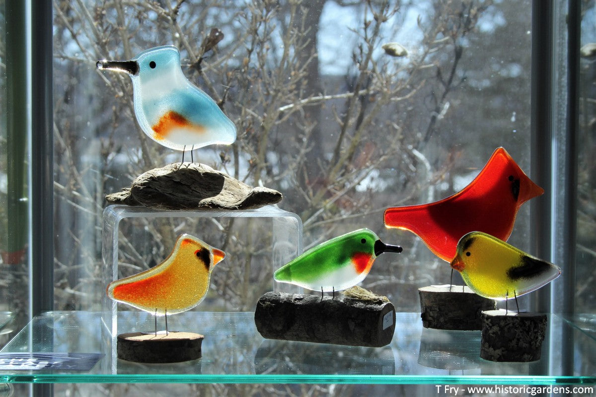 Fused Glass Birds