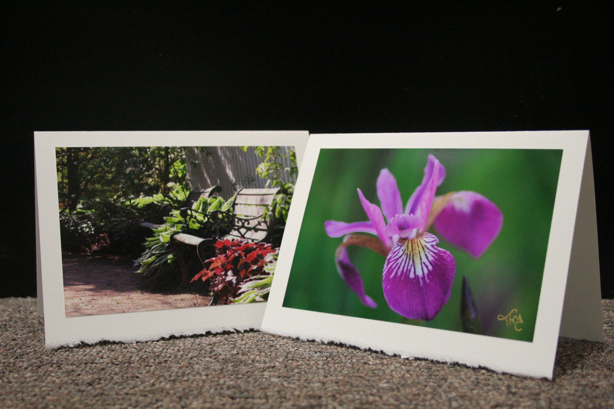 Historic Gardens Photography & Related