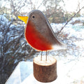 Fused Glass - Robin