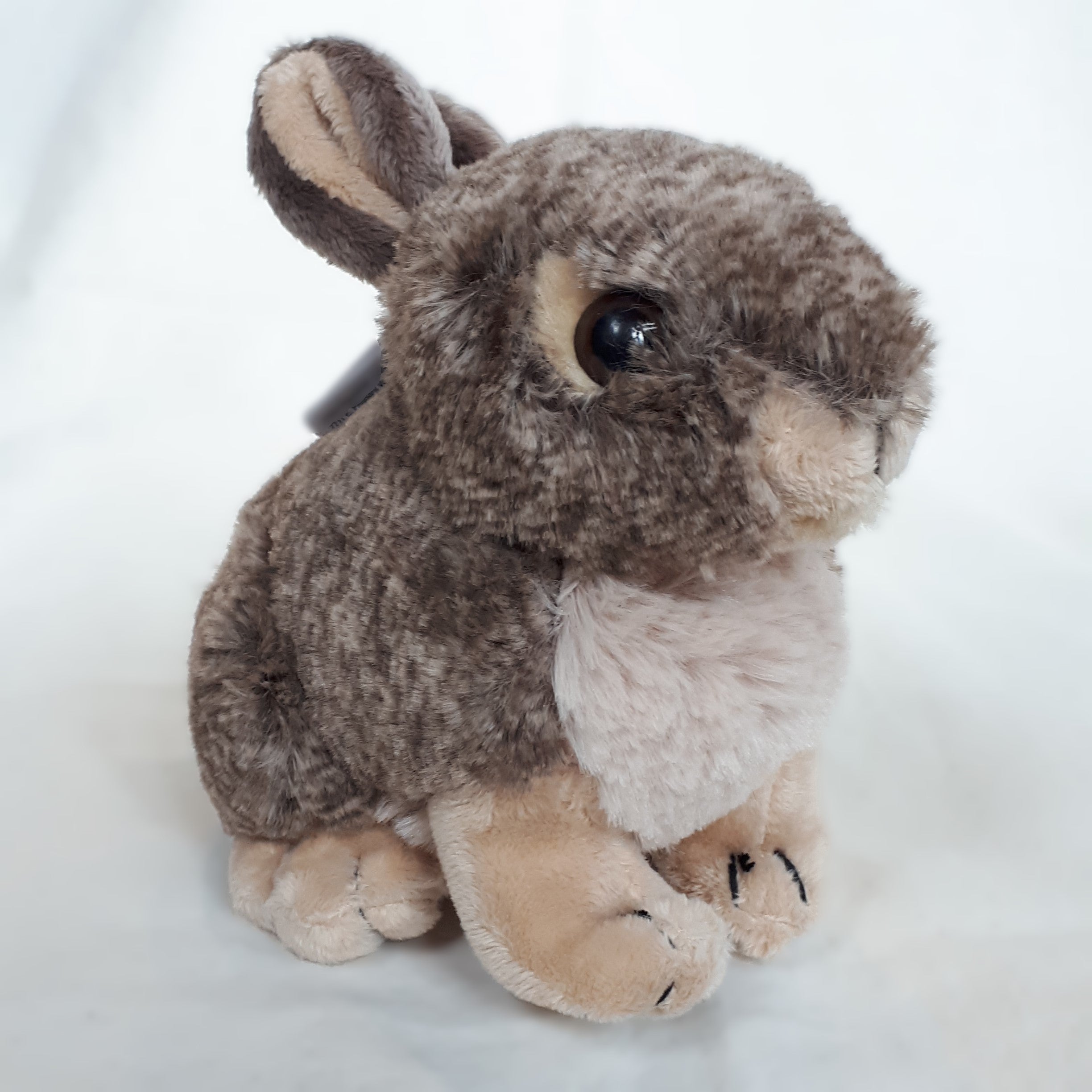 Stuffed Animals