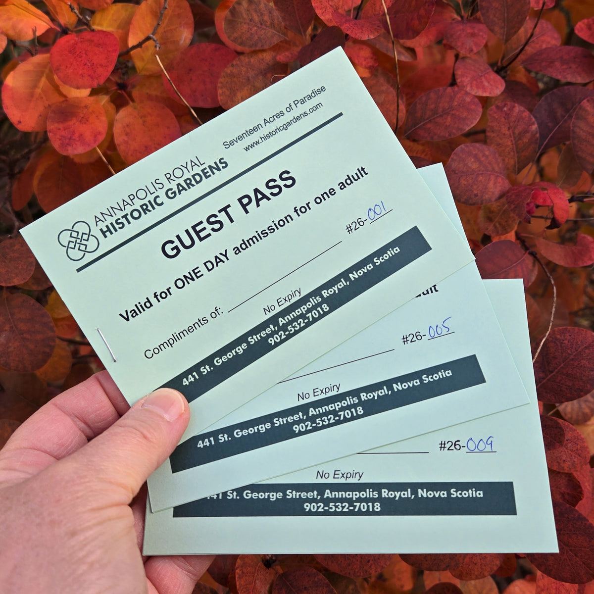 Guest Passes - Member's Special – Annapolis Royal Historic Gardens