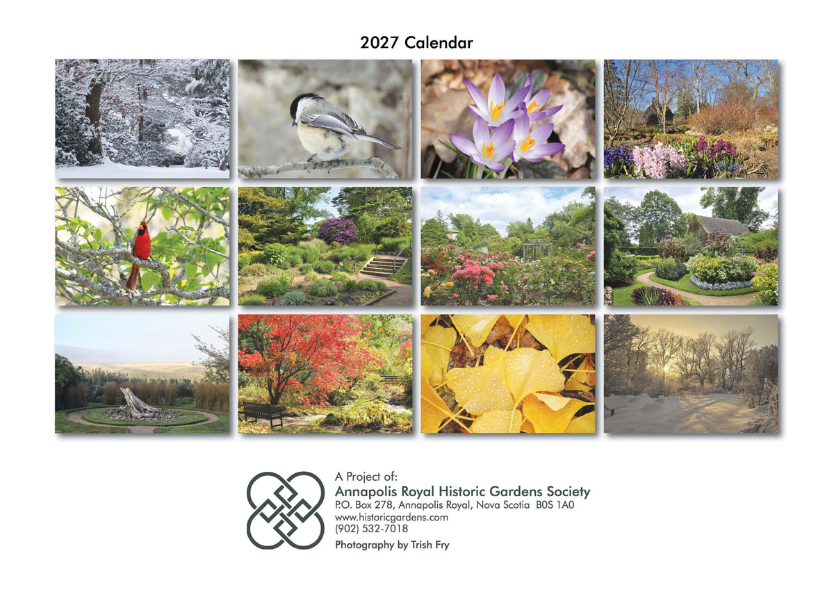 12 Month Calendar