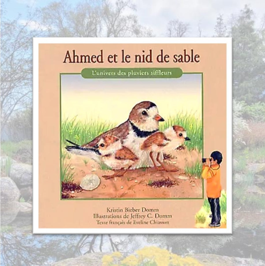 Ahmed and the Nest of Sand