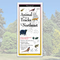 Folding Guide - Animal Tracks of the Northeast