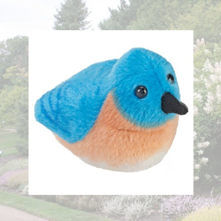 Stuffed Birds (with bird call)