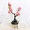 Chaba's Clay Flowers - Cherry Blossoms