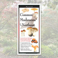 Folding Guide - Common Mushrooms of the Northeast