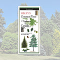 Folding Guide - Sibley's Common Trees of Eastern Canada