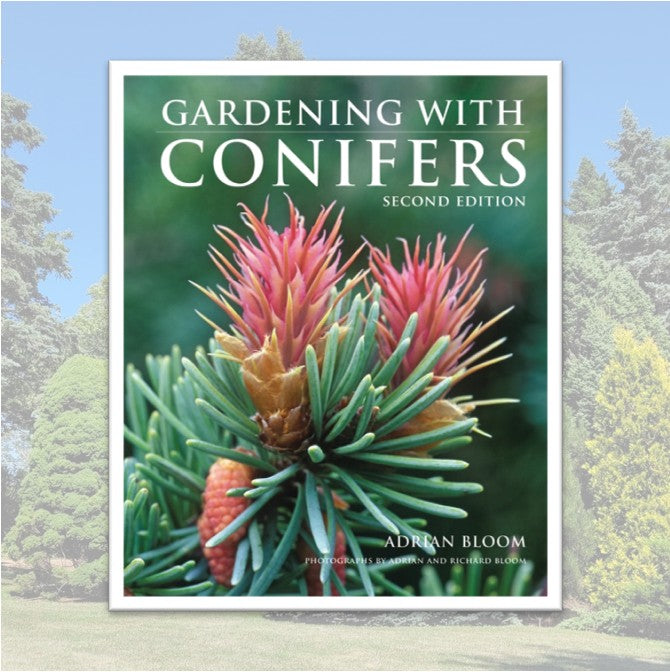 Gardening with Conifers
