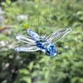 Glass Roots - Dragonfly
