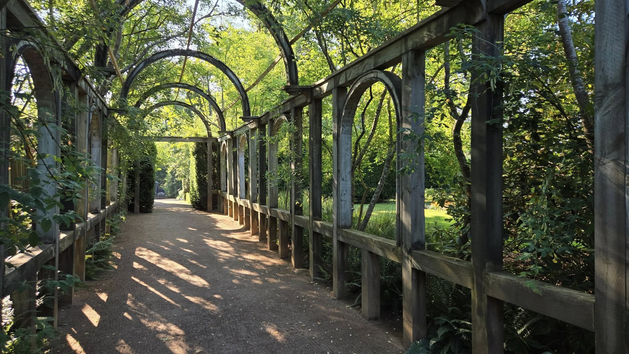 Wooden pergola with arches in a garden setting