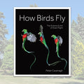 How Birds Fly