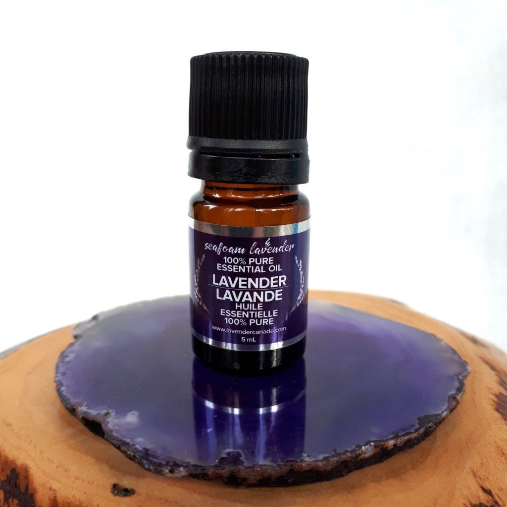 Seafoam Lavender - Essential Oils