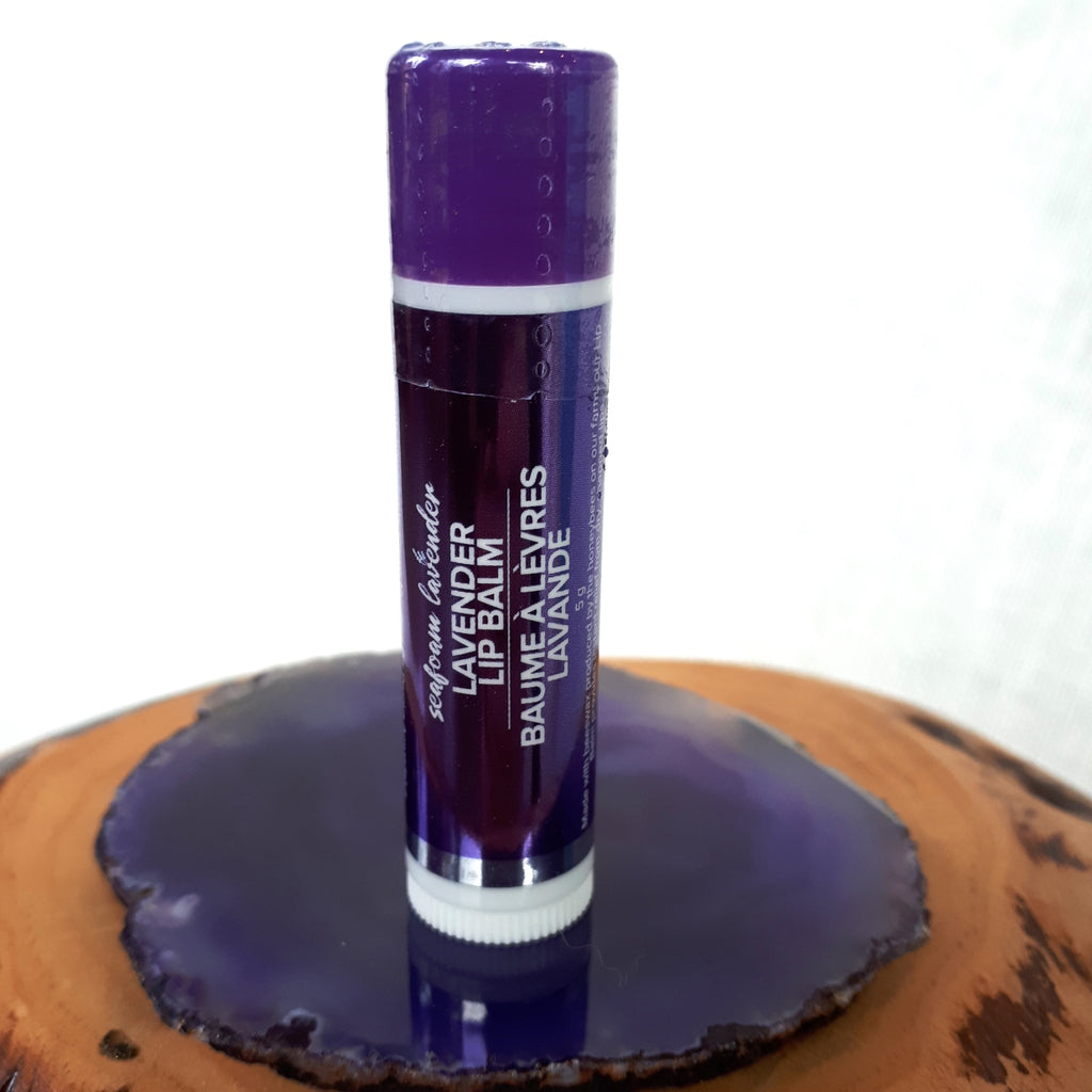 Seafoam Lavender Lip Balms
