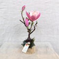 Chaba's Clay Flowers - Magnolia