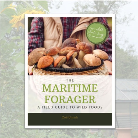 The Maritime Forager