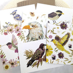 Seek & Bloom Note Card Mixed Sets