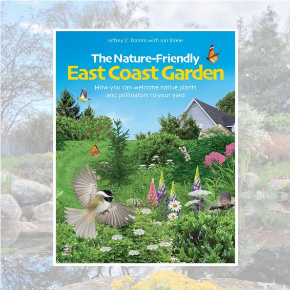 Nature-Friendly East Coast Garden