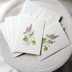 Note Cards