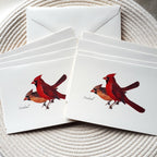 Note Cards