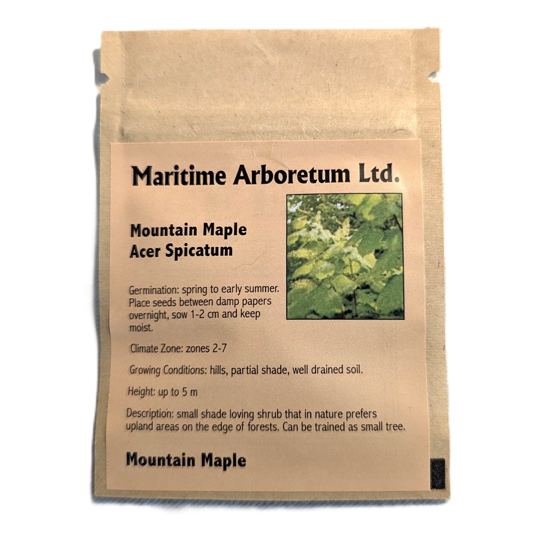 Maritime Arboretum Seeds