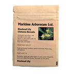 Maritime Arboretum Seeds