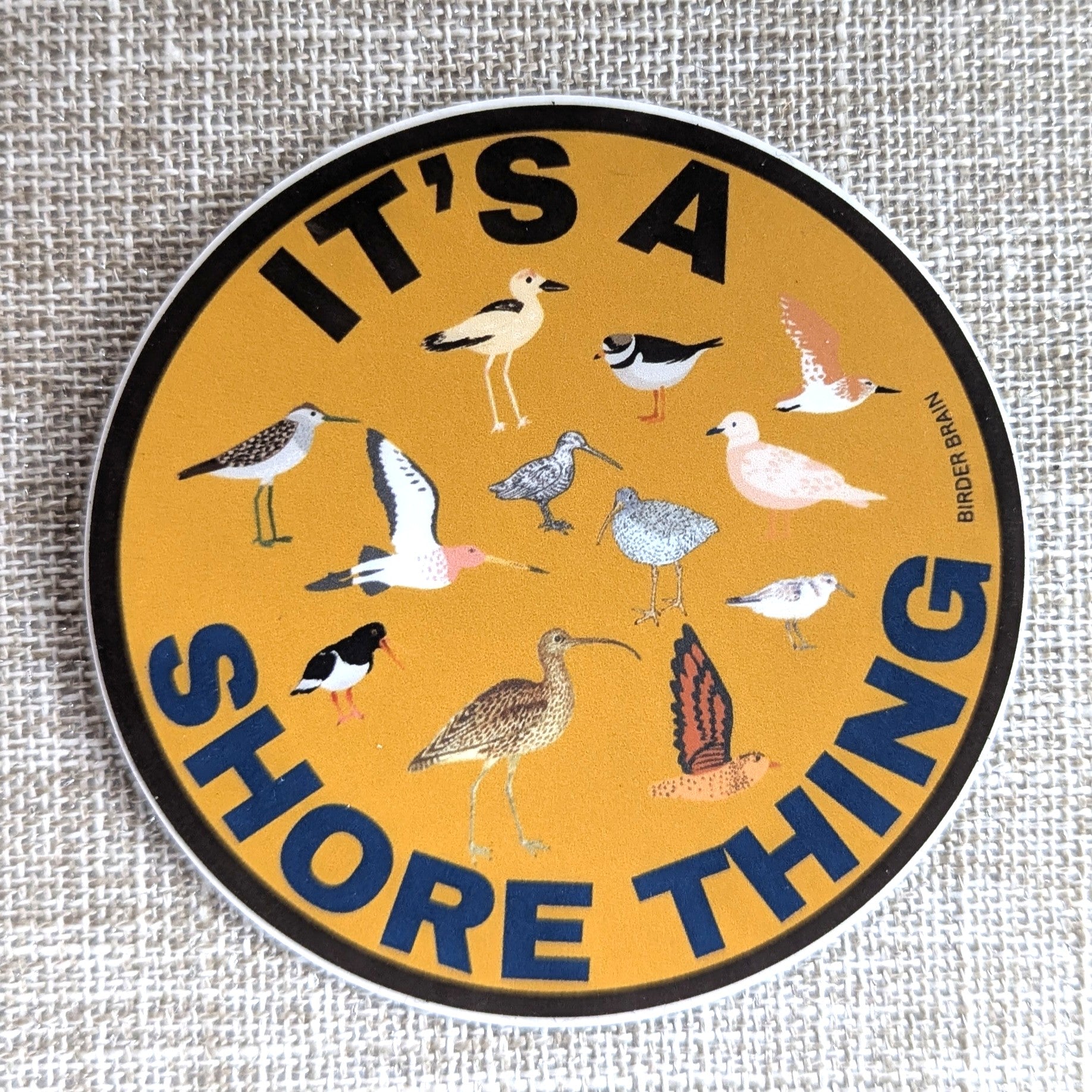 Birder Brain - Vinyl Stickers